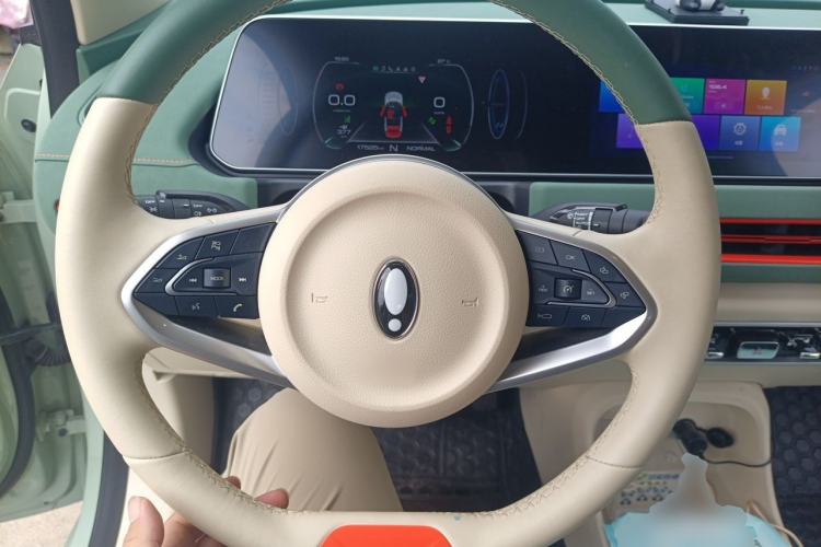 Used ORA Good Cat 2022 Morandi Edition 400km Standard Range Luxury Version Lithium Iron Phosphate Steering Wheel