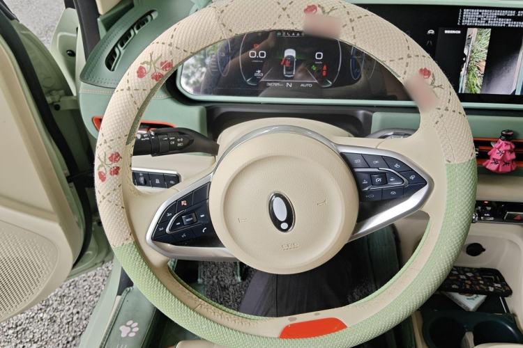 Used ORA Good Cat 2022 400km Standard Range Luxury Version Lithium Iron Phosphate Steering Wheel