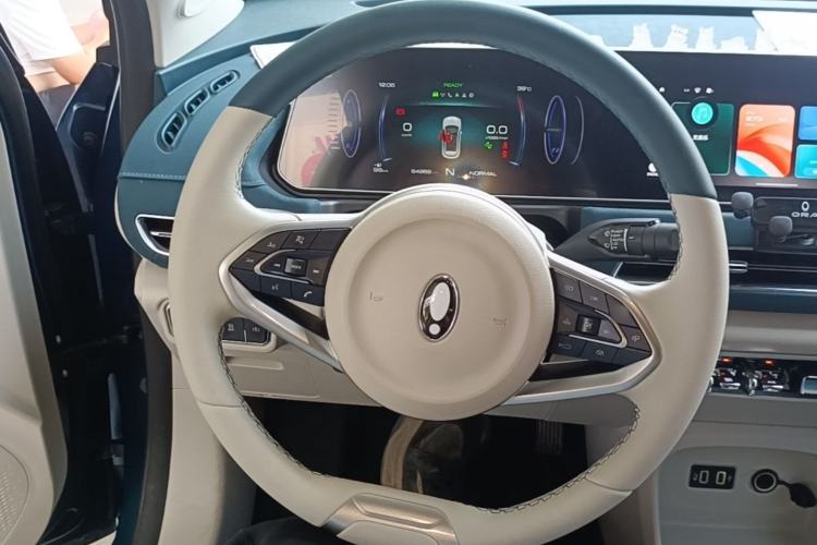 Used ORA Good Cat 2022 Morandi Edition 400km Standard Range Luxury Version Lithium-Ion Battery Steering Wheel