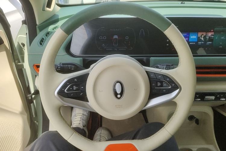 Used ORA Good Cat 2022 Morandi Edition 400km Standard Range Premium Version Lithium Iron Phosphate Steering Wheel