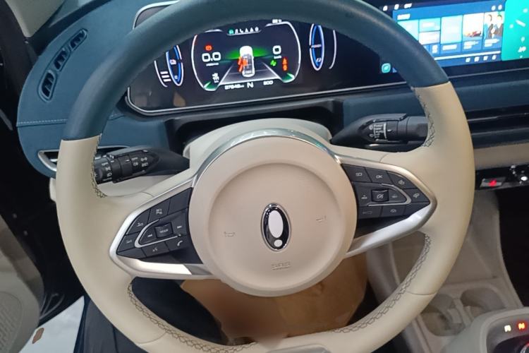 Used ORA Good Cat 2022 Morandi Edition 400km Standard Range Premium Version Lithium Iron Phosphate Steering Wheel