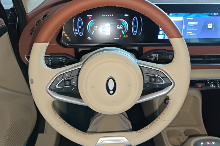 Used ORA Good Cat 2022 Morandi Edition 400km Standard Range Luxury Version Lithium Iron Phosphate Steering Wheel