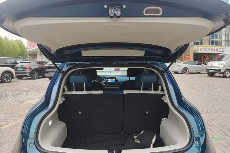 Used ORA Good Cat 2022 Morandi Edition 400km Standard Range Luxury Version Lithium-Ion Battery Trunk
