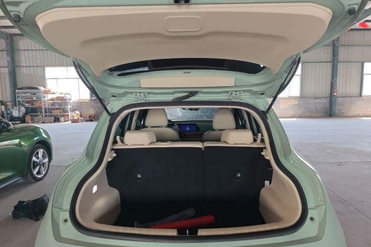 Used ORA Good Cat 2022 Morandi Edition 400km Standard Range Luxury Version Lithium-Ion Battery Trunk
