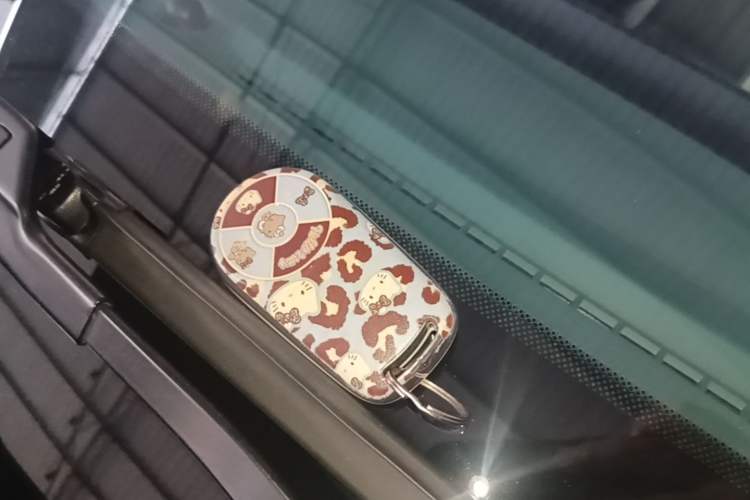 Used ORA Good Cat 2022 Morandi Edition 400km Standard Range Premium Version Lithium-Ion Battery Vehicle Key
