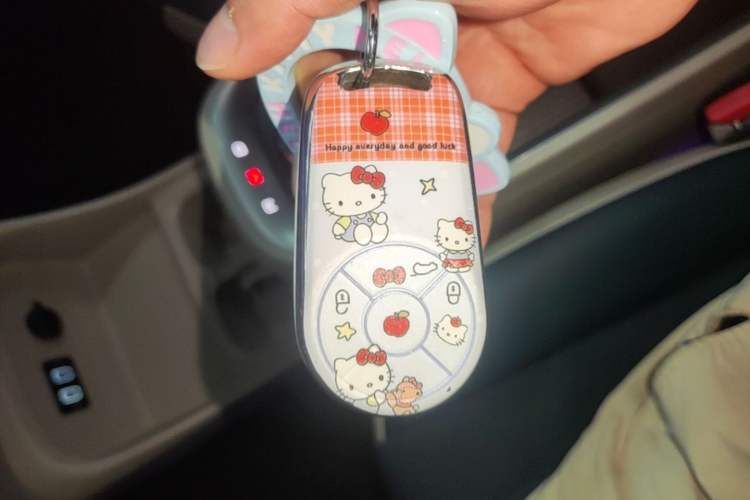 Used ORA Good Cat 2022 400km Standard Range Premium Version Lithium-Ion Battery Vehicle Key