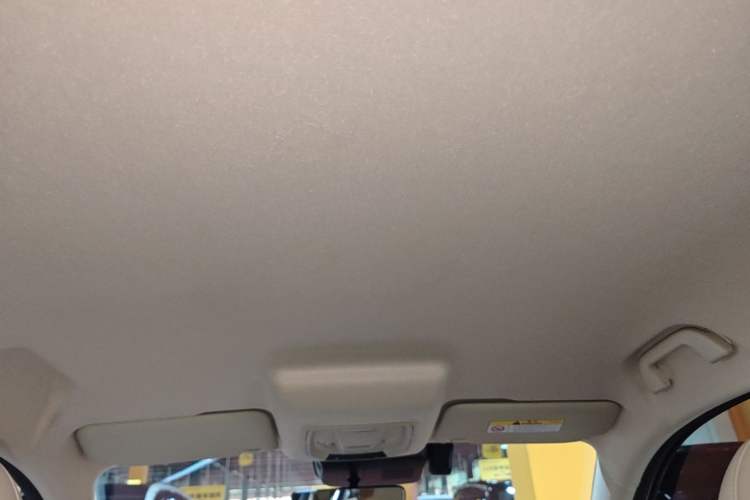 Used ORA Good Cat 2022 400km Standard Range Luxury Version Lithium Iron Phosphate Headliner