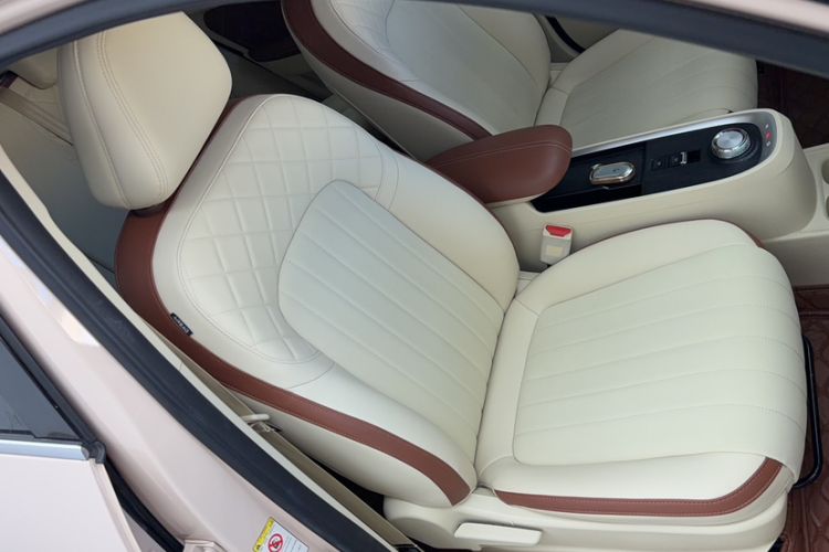 Used ORA Good Cat 2022 400km Standard Range Luxury Version Lithium Iron Phosphate Interior 2
