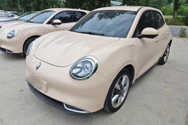 Used ORA Good Cat 2022 400km Standard Range Premium Version Lithium-Ion Battery