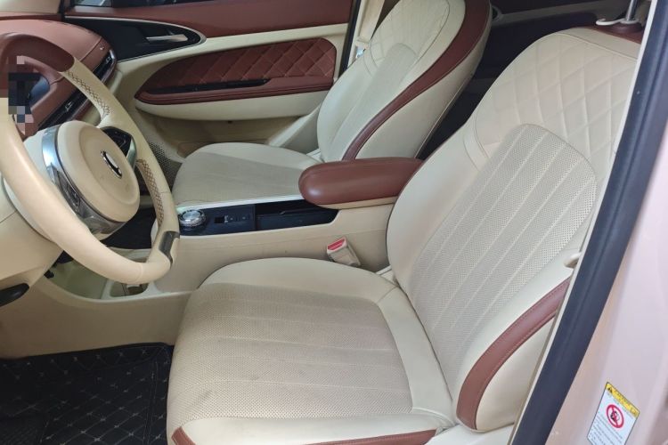 Used ORA Good Cat 2022 Morandi Edition 400km Standard Range Premium Version Lithium-Ion Battery Left Front Seat