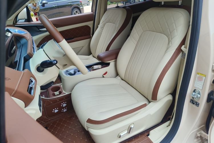 Used ORA Good Cat 2022 400km Standard Range Luxury Version Lithium Iron Phosphate Left Front Seat