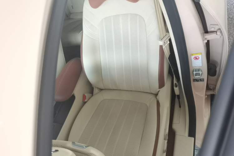 Used ORA Good Cat 2022 Morandi Edition 400km Standard Range Premium Version Lithium Iron Phosphate Left Front Seat