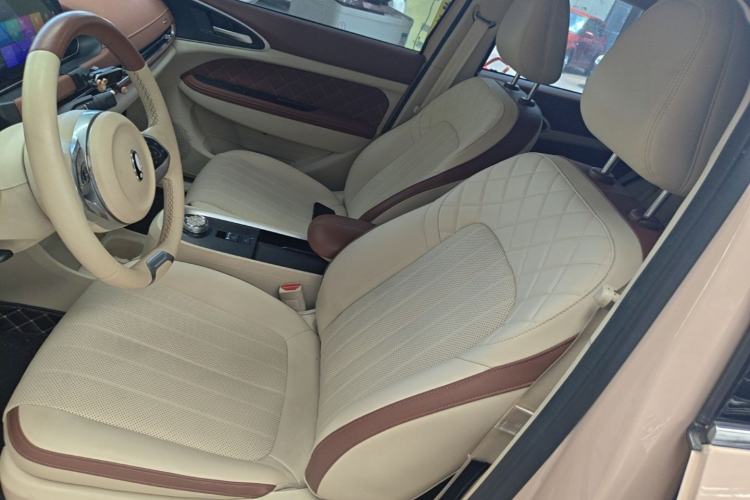 Used ORA Good Cat 2022 Morandi Edition 400km Standard Range Premium Version Lithium-Ion Battery Left Front Seat