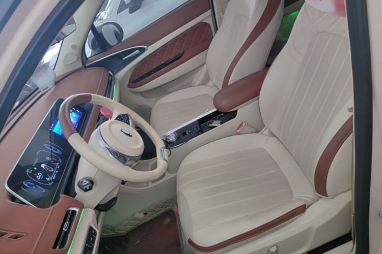 Used ORA Good Cat 2022 Morandi Edition 400km Standard Range Premium Version Lithium-Ion Battery Left Front Seat