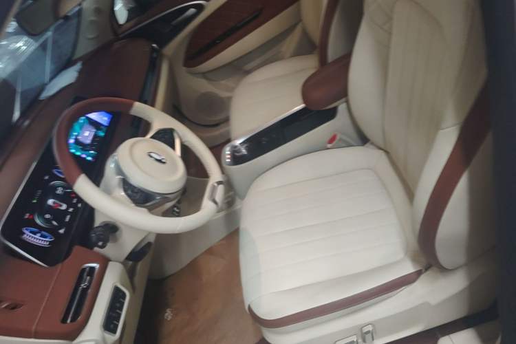 Used ORA Good Cat 2022 Morandi Edition 400km Standard Range Luxury Version Lithium-Ion Battery Left Front Seat