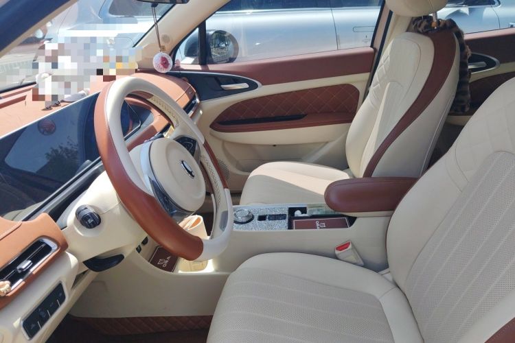 Used ORA Good Cat 2022 Morandi Edition 400km Standard Range Premium Version Lithium-Ion Battery Left Front Seat