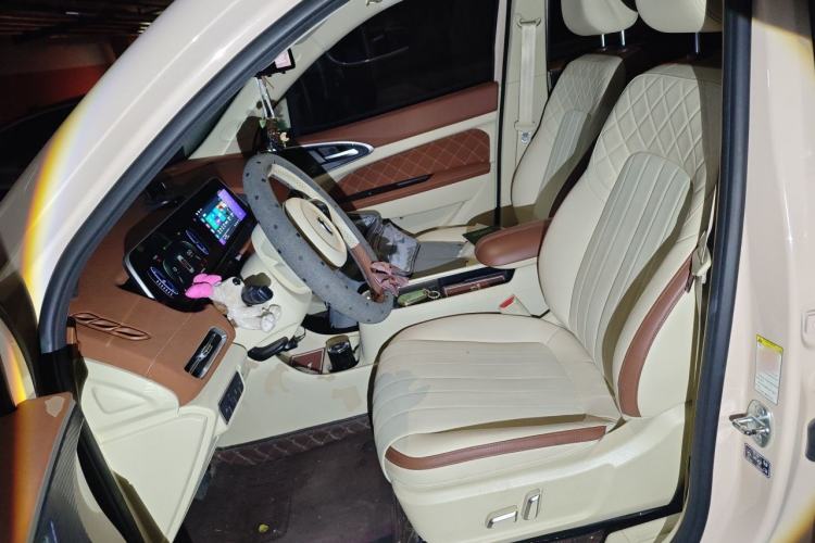 Used ORA Good Cat 2022 Morandi Edition 500 km Long Range Luxury Version Lithium Ternary Left Front Seat