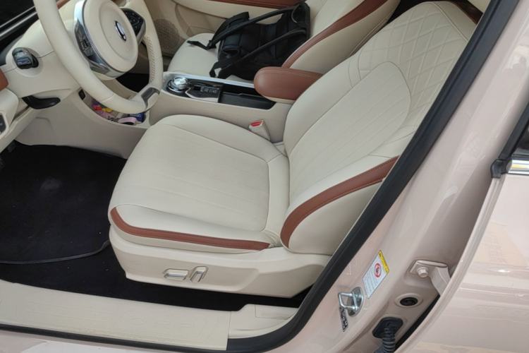 Used ORA Good Cat 2022 400km Standard Range Luxury Version Lithium Iron Phosphate Left Front Seat