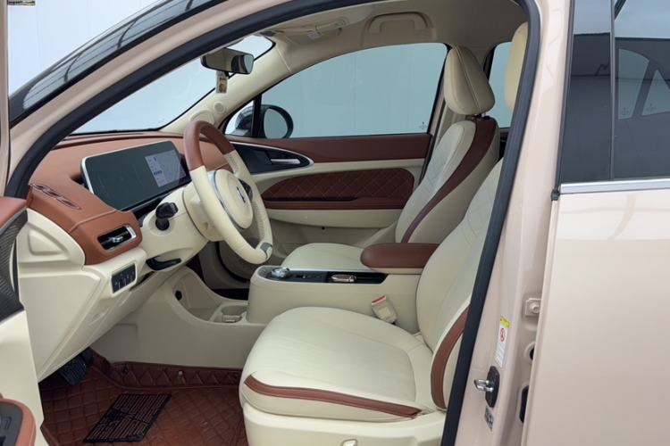 Used ORA Good Cat 2022 400km Standard Range Luxury Version Lithium Iron Phosphate Left Front Seat
