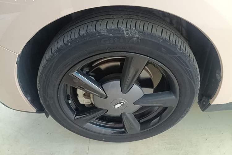 Used ORA Good Cat 2022 Morandi Edition 400km Standard Range Premium Version Lithium Iron Phosphate Left Front Wheel Hub