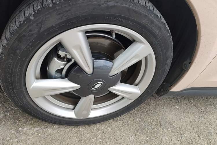 Used ORA Good Cat 2022 400km Standard Range Premium Version Lithium Iron Phosphate Left Front Wheel Hub