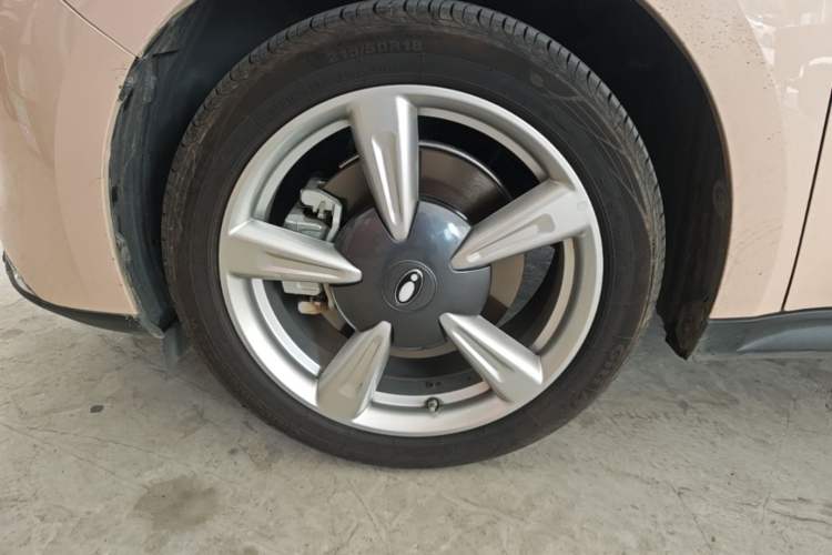 Used ORA Good Cat 2022 400km Standard Range Luxury Version Lithium Iron Phosphate Left Front Wheel Hub