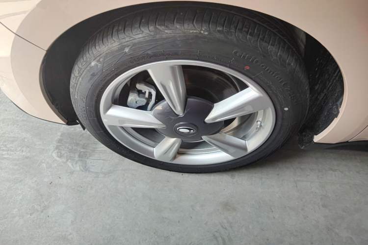 Used ORA Good Cat 2022 400km Standard Range Premium Version Lithium Iron Phosphate Left Front Wheel Hub
