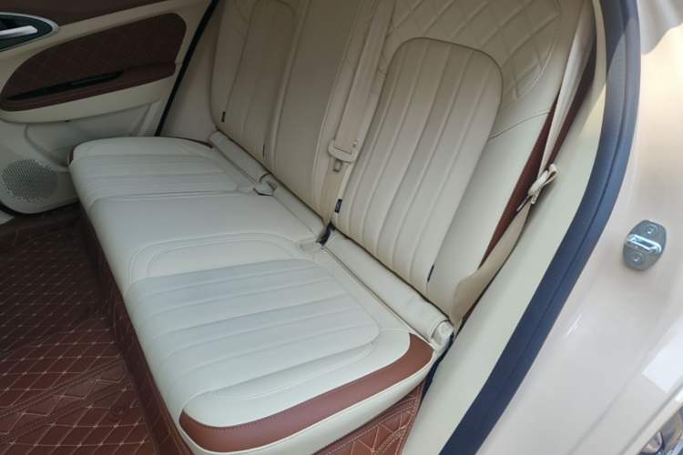 Used ORA Good Cat 2022 400km Standard Range Luxury Version Lithium Iron Phosphate Left Rear Seat
