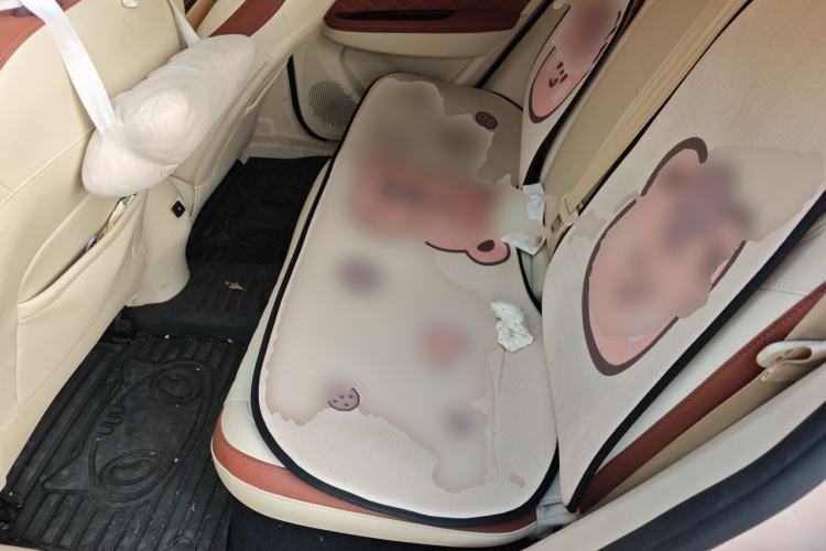 Used ORA Good Cat 2022 400km Standard Range Premium Version Lithium-Ion Battery Left Rear Seat