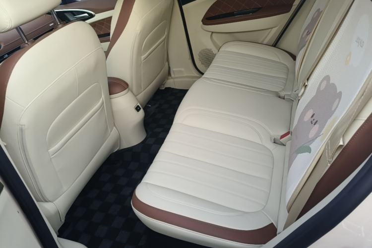 Used ORA Good Cat 2022 Morandi Edition 400km Standard Range Premium Version Lithium-Ion Battery Left Rear Seat