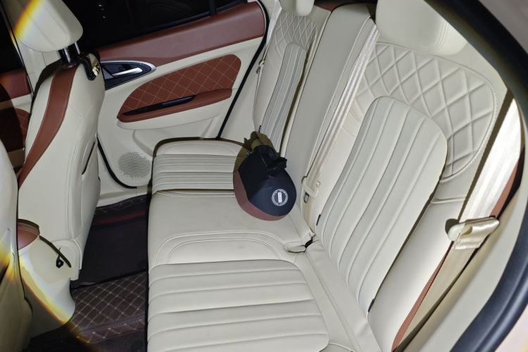 Used ORA Good Cat 2022 Morandi Edition 500 km Long Range Luxury Version Lithium Ternary Left Rear Seat