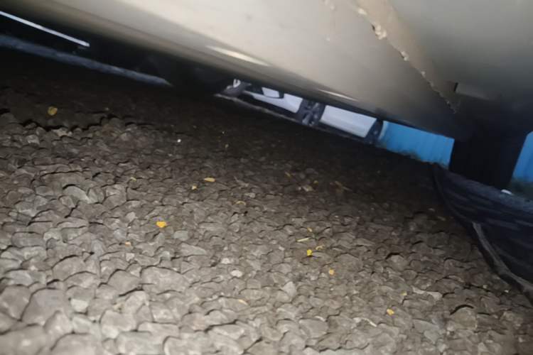 Used ORA Good Cat 2022 Morandi Edition 400km Standard Range Premium Version Lithium-Ion Battery Left Side Sill