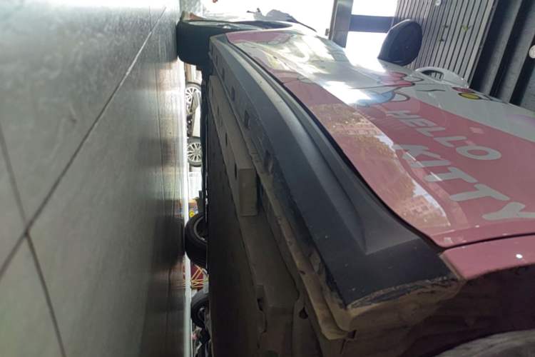 Used ORA Good Cat 2022 400km Standard Range Luxury Version Lithium Iron Phosphate Left Side Sill