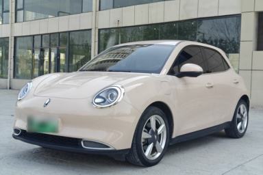 Used ORA Good Cat 2022 Morandi Edition 400km Standard Range Luxury Version Lithium-Ion Battery