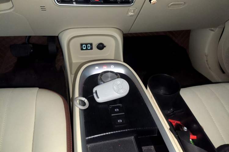 Used ORA Good Cat 2022 Morandi Edition 400km Standard Range Luxury Version Lithium Iron Phosphate Gear Lever