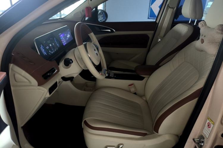 Used ORA Good Cat 2022 Morandi Edition 400km Standard Range Luxury Version Lithium Iron Phosphate Left Front Seat
