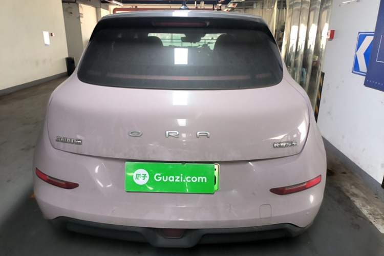 Used ORA Good Cat 2022 Morandi Edition 400km Standard Range Luxury Version Lithium Iron Phosphate Rear