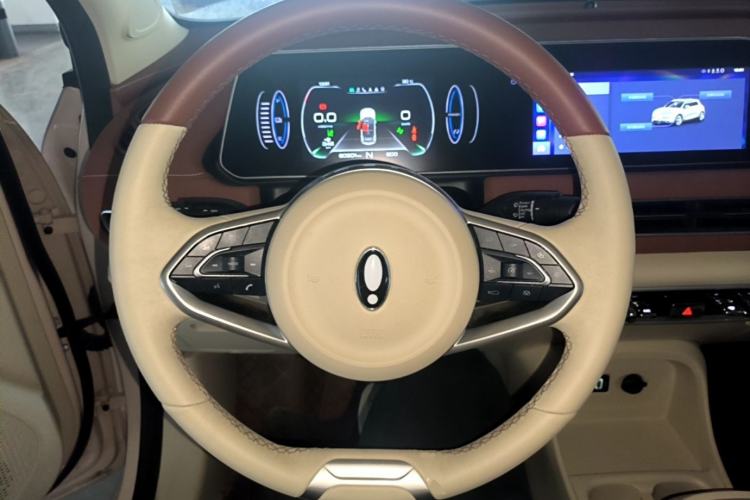 Used ORA Good Cat 2022 Morandi Edition 400km Standard Range Luxury Version Lithium Iron Phosphate Steering Wheel