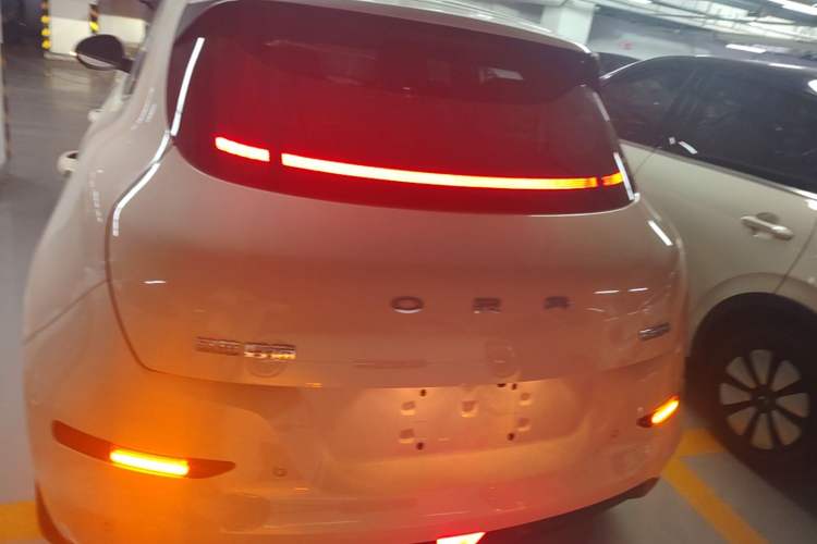 Used ORA Good Cat 2022 Morandi Edition 400km Standard Range Luxury Version Lithium-Ion Battery Rear
