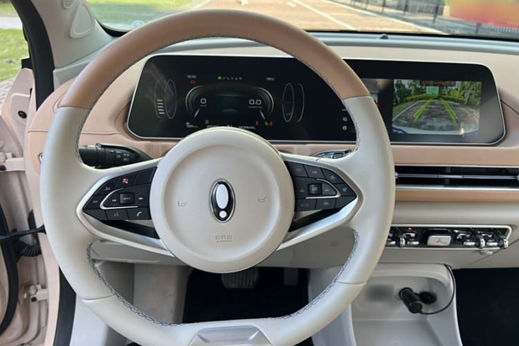 Used ORA Good Cat 2022 Morandi Edition 400km Standard Range Luxury Version Lithium Iron Phosphate Interior 3