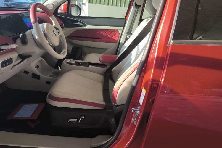 Used ORA Good Cat 2022 400km Standard Range Luxury Version Lithium Iron Phosphate Left Front Seat