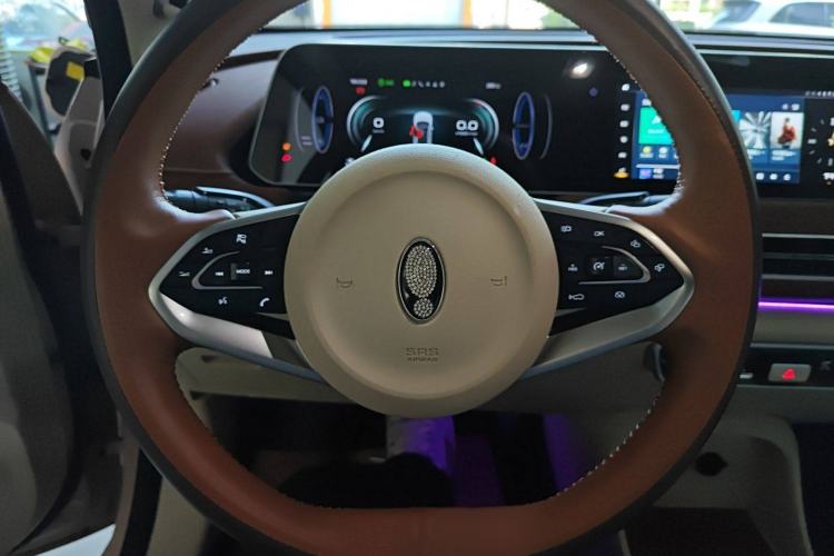 Used ORA Good Cat 2022 Morandi Edition 400km Standard Range Premium Version Lithium Iron Phosphate Steering Wheel