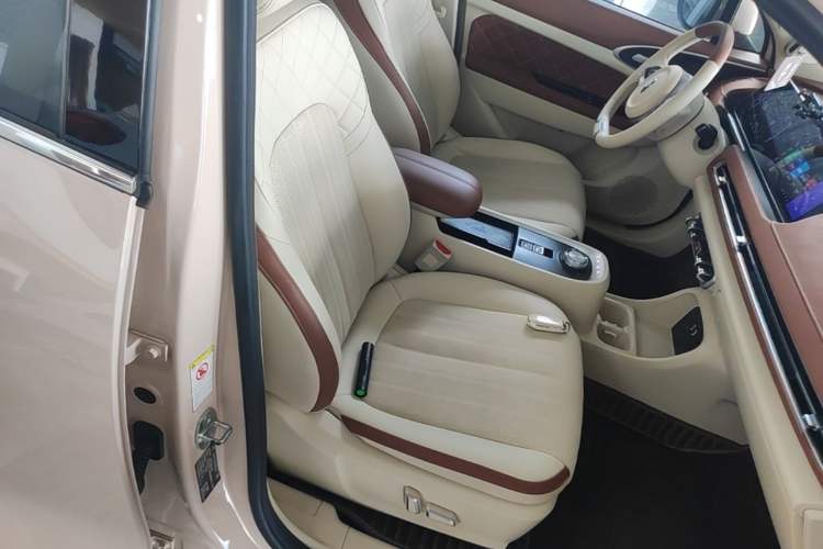 Used ORA Good Cat 2022 Morandi Edition 400km Standard Range Premium Version Lithium Iron Phosphate Right Front Seat