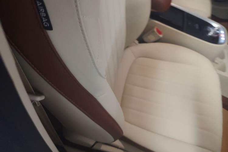 Used ORA Good Cat 2022 Morandi Edition 400km Standard Range Luxury Version Lithium-Ion Battery Right Front Seat
