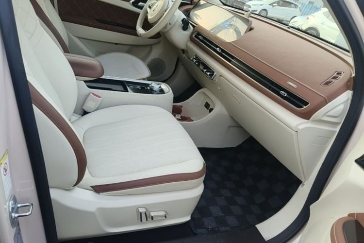 Used ORA Good Cat 2022 Morandi Edition 400km Standard Range Premium Version Lithium-Ion Battery Right Front Seat