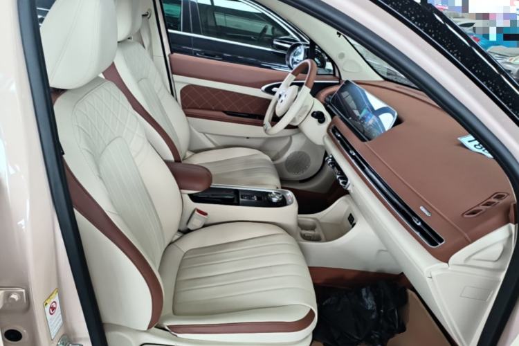 Used ORA Good Cat 2022 Morandi Edition 400km Standard Range Luxury Version Lithium Iron Phosphate Right Front Seat
