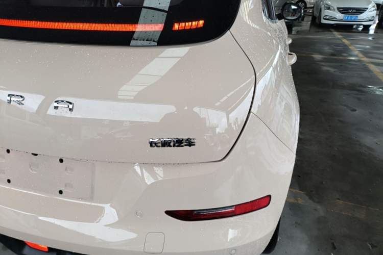 Used ORA Good Cat 2022 Morandi Edition 400km Standard Range Luxury Version Lithium Iron Phosphate Right Rear Taillight
