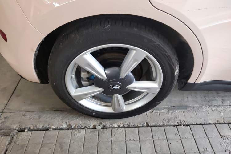 Used ORA Good Cat 2022 400km Standard Range Premium Version Lithium Iron Phosphate Right Rear Wheel Hub