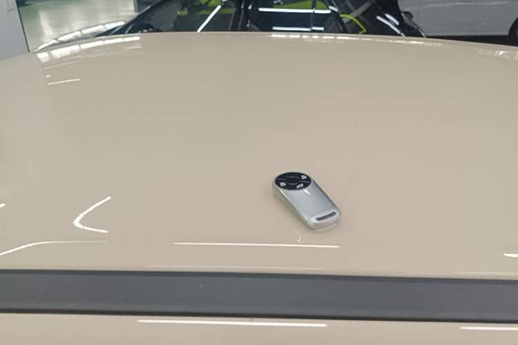 Used ORA Good Cat 2022 Morandi Edition 400km Standard Range Luxury Version Lithium-Ion Battery Roof