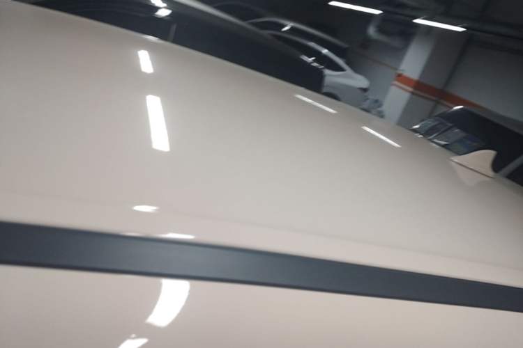 Used ORA Good Cat 2022 Morandi Edition 400km Standard Range Luxury Version Lithium-Ion Battery Roof